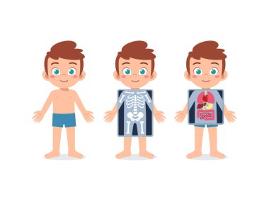 Okulda eğitim için çocuk vücut yapısı