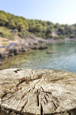 Deniz doğasının güzel manzarası ve ürün ve ağaç kütüğündeki süslemeler için yer kopyalamak..