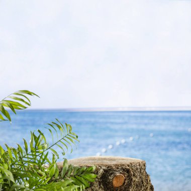 Ürünler, nesneler ve aksesuarlar için kopyalama alanı olan tropik bir plajda deniz manzaralı tahta kütük. Ürün görüntüleme montaj ilhamı.