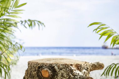 Ahşap kütük, ağaç gövdesi masa üstü olarak mavi deniz manzaralı güzel bir manzara. Ürünler ve nesneler için yer. Güzel tropikal manzara, mavi deniz ve beyaz kum..