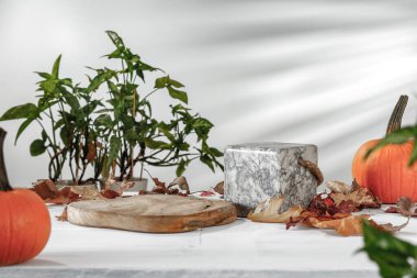 Balkabaklarıyla sakin bir hayat