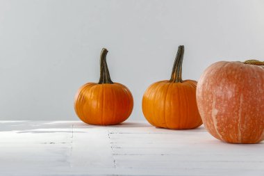 Halloween Pumpkins kopya alanı ile