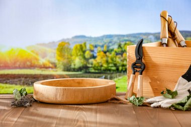 Bahçe malzemeleri ahşap masada güneşli sonbahar arka planında güneş ışığı. Boşluğu kopyala, ürünlerinizi görüntülemek veya montajlamak için kullanılabilir.