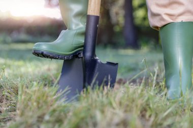 Yeşil lastik çizmeli bahçıvan bacakları toprakta kürekle kazıyor. 
