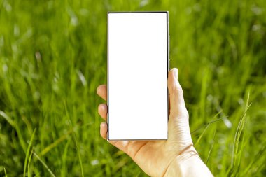 Doğal yeşil yeşillik bahçesi arka planı ve doğal gün ışığı için metin alanı olan boş ekranlı akıllı telefon.