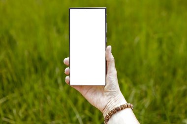 Doğal yeşil yeşillik bahçesi arka planı ve doğal gün ışığı için metin alanı olan boş ekranlı akıllı telefon.