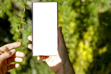 Beyaz ekranlı akıllı telefon, arka planda doğal bahçedeki kadınların ellerinde. Doğal güneş ve gün ışığı. Boşluğu kopyala.