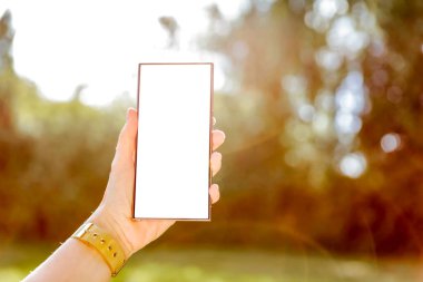 Beyaz ekranlı akıllı telefon, arka planda doğal bahçedeki kadınların ellerinde. Doğal güneş ve gün ışığı. Boşluğu kopyala.