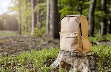 Ormandaki Ağaç Kütüğü Sırt Çantası Açık Macera ve Doğa Keşfi Konsepti. Güneşli bir günde orman gezisi sahnesi ve kopyalama alanı