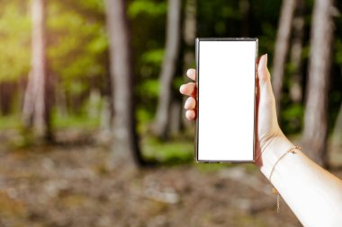Güneşli bir orman arka planına sahip akıllı bir telefonu tutan bir kadının yakın çekimi. Doğal çevreye sahip modern teknoloji, uzak çalışmayı sembolize ediyor, açık havada yaratıcı düşünme..