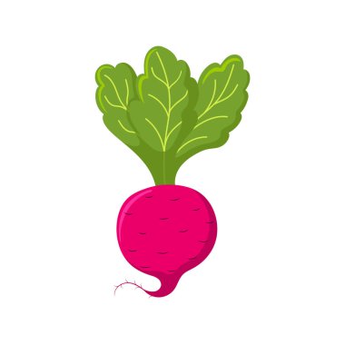 Komik pancar pancarı. Şirin sebze. Beyaz arkaplanda izole edilmiş vektör gıda illüstrasyonu.