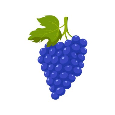 Komik karikatür üzümü. Tatlı meyve. Beyaz arkaplanda izole edilmiş vektör gıda illüstrasyonu.