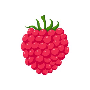 Komik çizgi film ahududu. Tatlı böğürtlen. Beyaz arkaplanda izole edilmiş vektör gıda illüstrasyonu.