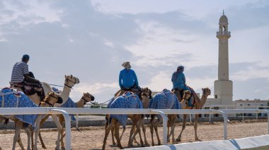 Al Shahaniya, Doha, Katar - Ekim 03.2023: deve bakıcıları, önümüzdeki kış yarışına hazırlanmak için Al Shahaniya pistindeki develeri eğitip koşullandırıyorlar..