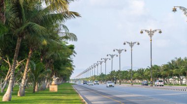 Salalah, Oman- November 11,2023- beautiful roads of salalah filled with Naturistic scenes.