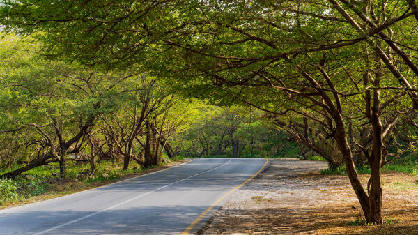 Salalah, Oman- November 11,2023- beautiful roads of salalah filled with Naturistic scenes.