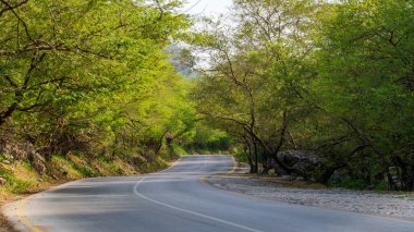 Salalah, Oman- November 11,2023- beautiful roads of salalah filled with Naturistic scenes.