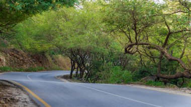 Salalah, Oman- November 11,2023- beautiful roads of salalah filled with Naturistic scenes.