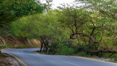 Salalah, Oman- November 11,2023- beautiful roads of salalah filled with Naturistic scenes.