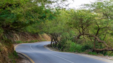 Salalah, Oman- November 11,2023- beautiful roads of salalah filled with Naturistic scenes.