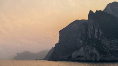 Al Mughsayl Plajı (El Mughsail Sahili olarak da bilinir) Salalah 'ın en ünlü turistik merkezi Umman' dır..