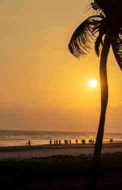 12 Aralık 2023, insanlar gün batımında plajda futbol oynuyorlar.