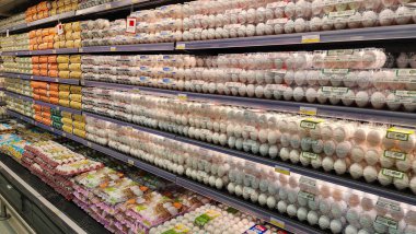 Doha, Katar - Şubat 02.2024: Süpermarketin rafında çeşitli yumurta markaları.
