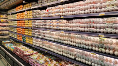 Doha, Katar - Şubat 02.2024: Süpermarketin rafında çeşitli yumurta markaları.