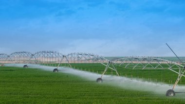 Arapçada yaz aylarında tarımsal mısır tarlalarını sulama sistemi