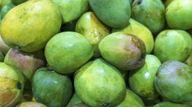 Arka planda Hint sindhooram mangosu var.