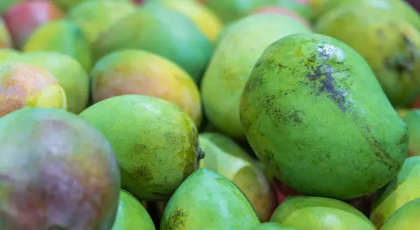 stock image Bunch of indian sindhooram mango in the background