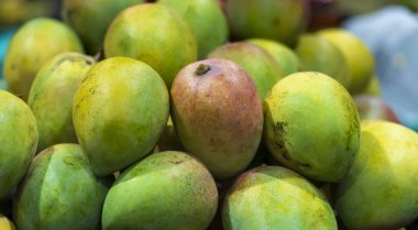 Arka planda Hint sindhooram mangosu var.