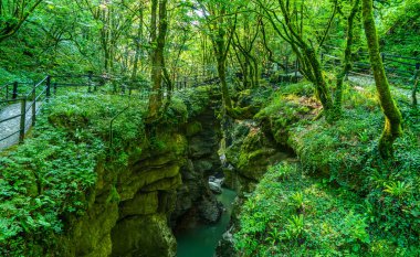 Gürcistan'daki Martvili Kanyonu. Dağ nehir manzaralı güzel doğal Kanyon