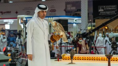 Doha, Katar 5 Ekim 2024: Çarpıcı bir pozda çekilen görkemli bir şahin keskin ve odaklanmış gözlerini sergileyerek, Şahinlik, eğitimli bir yırtıcı kuş vasıtasıyla doğal hallerinde ve habitatlarında vahşi hayvanları avlamaktır..