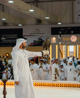 Doha, Katar 5 Ekim 2024: Çarpıcı bir pozda çekilen görkemli bir şahin keskin ve odaklanmış gözlerini sergileyerek, Şahinlik, eğitimli bir yırtıcı kuş vasıtasıyla doğal hallerinde ve habitatlarında vahşi hayvanları avlamaktır..