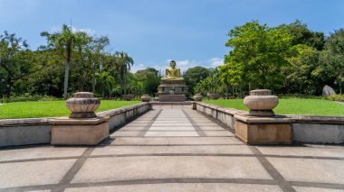Colombo, Sri Lanka - 20 Ocak 2025: Viharamahadevi Parkı 'ndaki Buda heykelinin huzurlu manzarası, şehrin kalbinde kültürel mirası sembolize eden yeşil bir alan