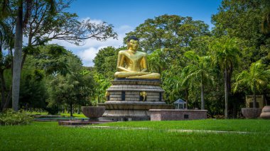 Colombo, Sri Lanka - 20 Ocak 2025: Viharamahadevi Parkı 'ndaki Buda heykelinin huzurlu manzarası, şehrin kalbinde kültürel mirası sembolize eden yeşil bir alan