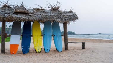 Hikkaduwa, Sri Lanka - 18 Ocak 2025: Sörf tahtası kumlu bir sahilde bir palmiye ağacının yanında, sörf yapmak için mükemmel. Sri Lanka 'nın çarpıcı plajı su sporları ve macera sunuyor..
