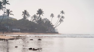 Hikkaduwa, Sri Lanka - 18 Ocak 2025: Sri Lanka kıyı şeridinin doğal güzelliğini gözler önüne seren, altın kumları, turkuaz suları ve berrak mavi gökyüzü altında hafif dalgaları olan sakin bir sahil manzarası.