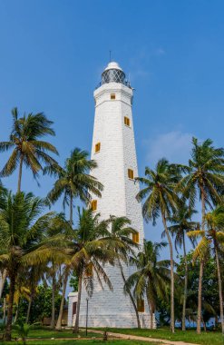 Dondra, Sri Lanka-18 Ocak 2025: Dondra Deniz Feneri, dalgalı palmiyeler ve okyanus manzaralarıyla çevrili bir sahil harikası. Ziyaretçiler için tarihi bir dönüm noktası ve manzaralı bir eğlence..