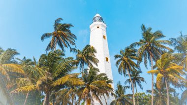 Dondra, Sri Lanka-18 Ocak 2025: Dondra Deniz Feneri, dalgalı palmiyeler ve okyanus manzaralarıyla çevrili bir sahil harikası. Ziyaretçiler için tarihi bir dönüm noktası ve manzaralı bir eğlence..