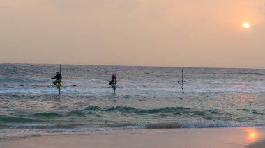 Weligama, Sri Lanka-18 Ocak 2025: Geleneksel stil balıkçıları, Sri Lanka kıyılarına özgü antik bir balıkçılık yöntemi uygulayarak, dalgaların üzerindeki tahta direklere tünediler..