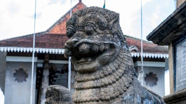 Colombo, Sri Lanka 18 Ocak 2025: Independence Meydanı 'ndaki görkemli aslan heykeli, cesaret ve gurur sembolü, bereketli bahçelerle çevrili tarihi anıtın bir parçası olarak öne çıkıyor..
