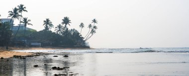 Hikkaduwa, Sri Lanka - 18 Ocak 2025: Sri Lanka kıyı şeridinin doğal güzelliğini gözler önüne seren, altın kumları, turkuaz suları ve berrak mavi gökyüzü altında hafif dalgaları olan sakin bir sahil manzarası.