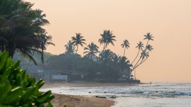 Hikkaduwa, Sri Lanka - 18 Ocak 2025: Sri Lanka kıyı şeridinin doğal güzelliğini gözler önüne seren, altın kumları, turkuaz suları ve berrak mavi gökyüzü altında hafif dalgaları olan sakin bir sahil manzarası.