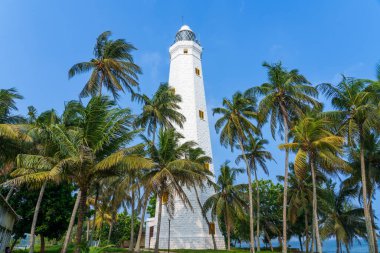 Dondra, Sri Lanka 18 Ocak 2025: Dondra Deniz Feneri, dalgalı palmiyeler ve okyanus manzaralarıyla çevrili bir sahil harikası. Ziyaretçiler için tarihi bir dönüm noktası ve manzaralı bir eğlence..
