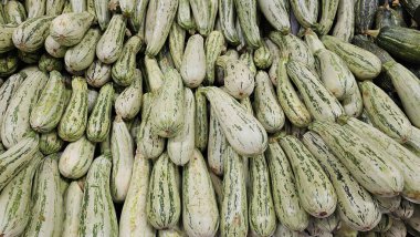 Bol miktarda taze İtalyan kabağı, açık yeşil derili ve doğal çizgili, bir markette veya markette çekilmiş, sebze bolluğunu gösteriyor.