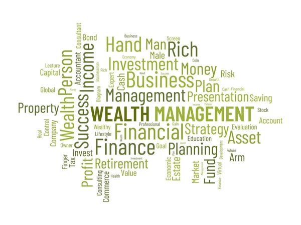 Word Cloud Background Concept Wealth Management Financial Investment Income Plan — Stock Vector