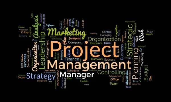 Word Cloud Background Concept Project Management Professional Business Resource Plan — Stock Vector