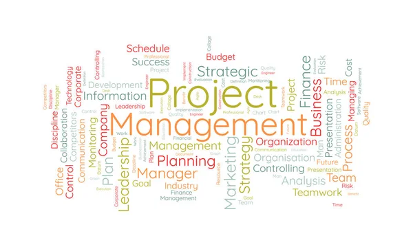 Word Cloud Background Concept Project Management Professional Business Resource Plan — Stock Vector